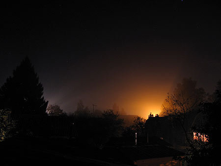 IMG_1213 (450x338, 13Kb)