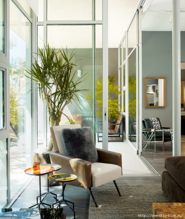 benefits-of-houseplants-high-modern-room-glass-door-window (593x700, 300Kb)