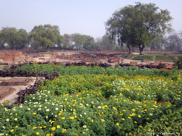 Sarnath 2014 (4) (700x525, 423Kb)