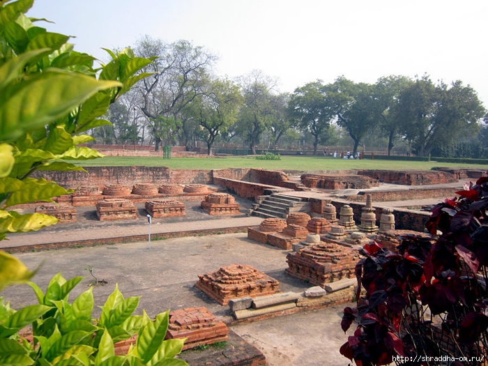 Sarnath 2014 (5) (700x525, 337Kb)