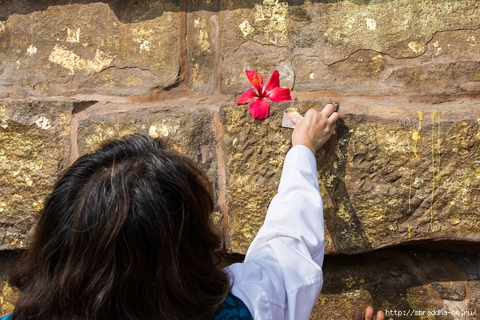 Sarnath 2014 (13) (700x466, 365Kb)