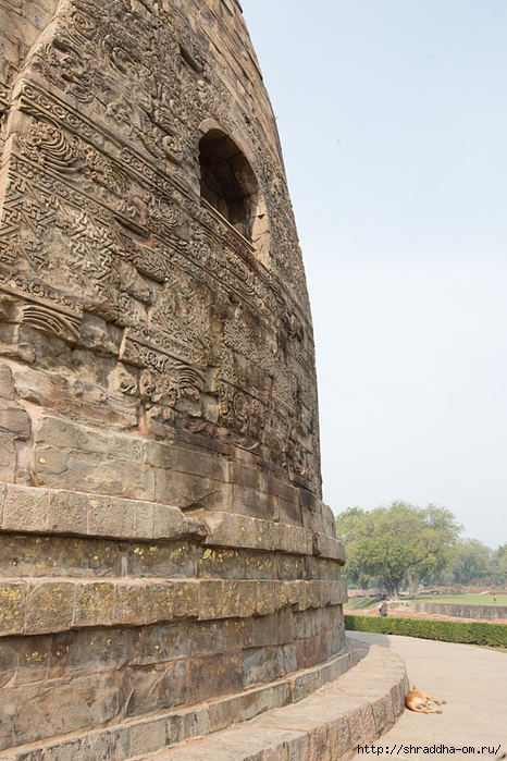 Sarnath 2014 (15) (466x700, 285Kb)