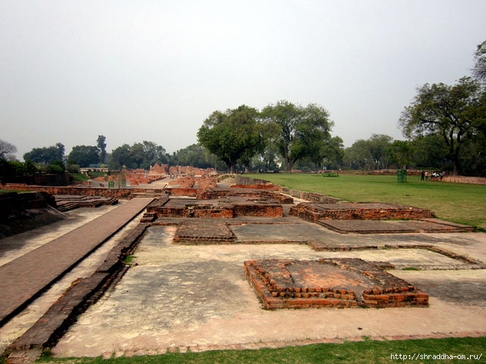 Sarnath 2014 (23) (700x525, 304Kb)