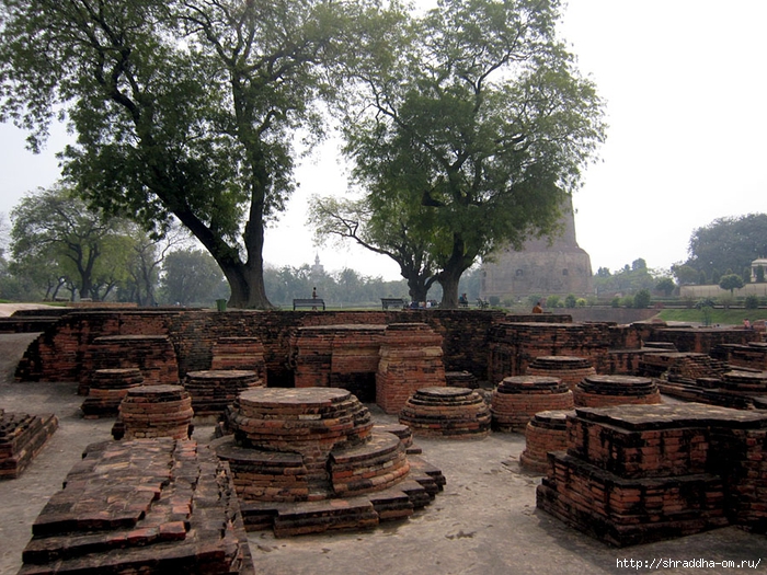 Sarnath 2014 (24) (700x525, 362Kb)