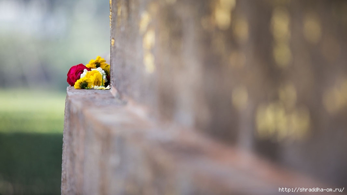 Sarnath 2014 (32) (700x393, 114Kb)