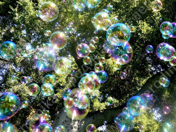 Мыльные пузыри6 (700x525, 414Kb)