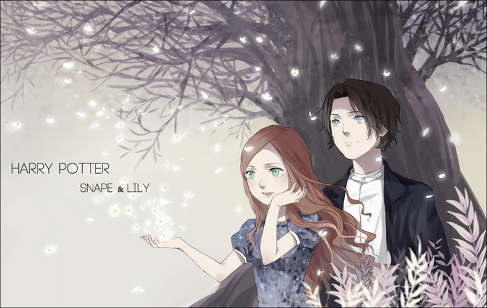 Harry.Potter.full.712386 (700x443, 329Kb)