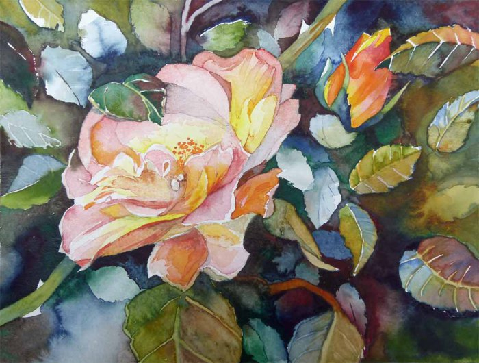 sommerende-c-rosen-aquarell-von-frank-koebsch-k (700x530, 379Kb)