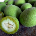 Народные рецепты приготовления лекарственных препаратов из зелёного грецкого ореха