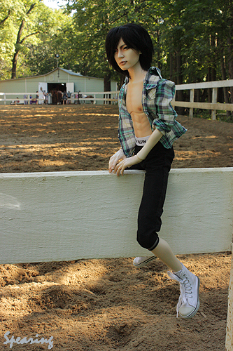 IMG_8372 (333x500, 231Kb)