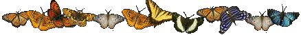 (438x51, 8Kb)
