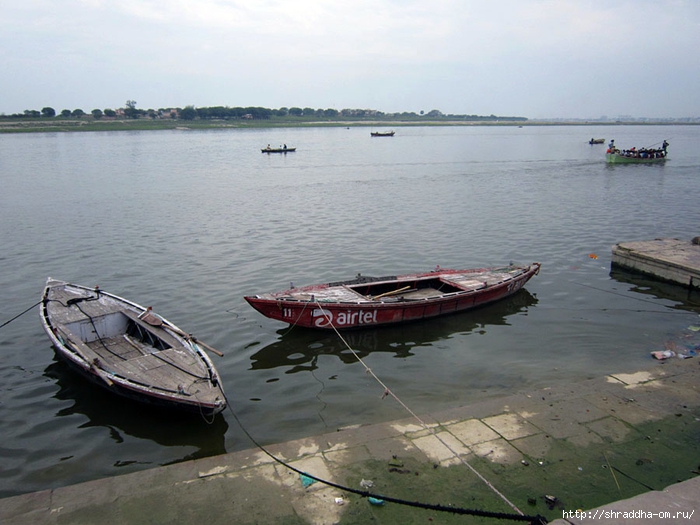 India Varanasi 2014 (62) (700x525, 246Kb)