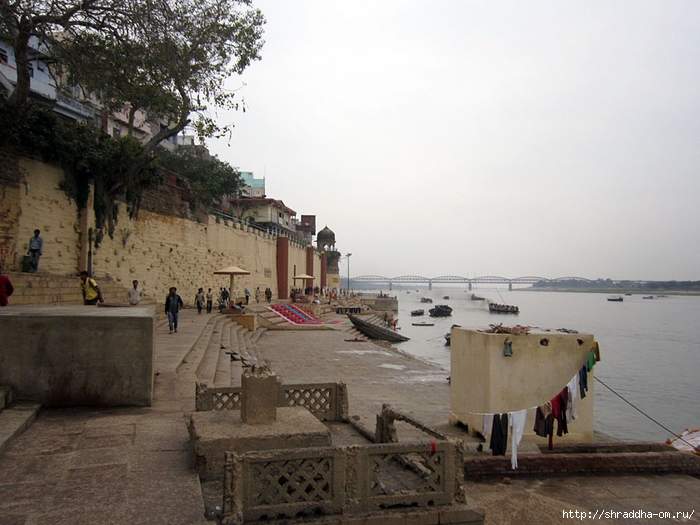 India Varanasi 2014 (68) (700x525, 250Kb)