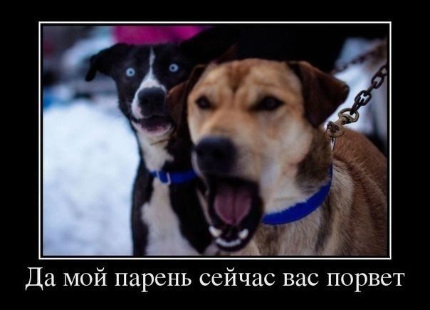 5680197_2619Sejchasporvet (604x435, 39Kb)