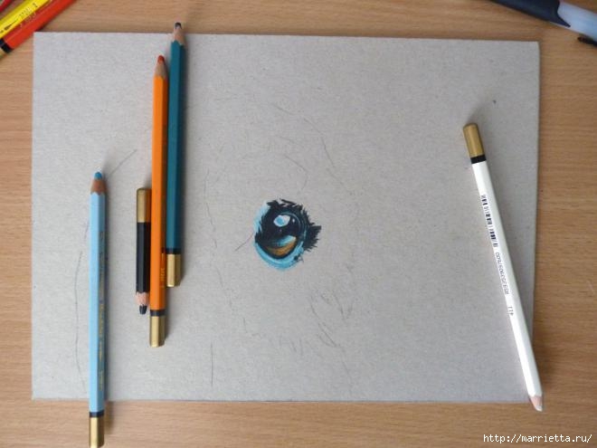 Как нарисовать совушку акварельными карандашами (3) (660x495, 116Kb)