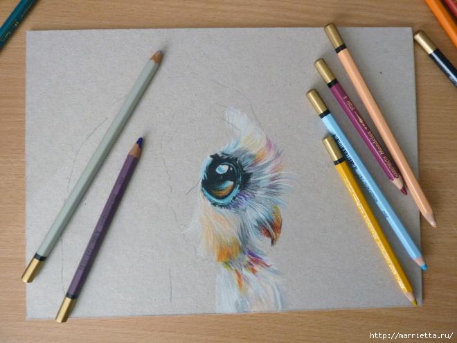 Как нарисовать совушку акварельными карандашами (7) (660x495, 135Kb)