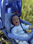  IMG_20140809_142231 (525x700, 516Kb)