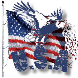 3996605_USA_by_MerlinWebDesigner_3 (250x250, 32Kb)