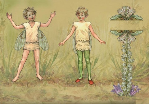 fairies16 (480x335, 159Kb)