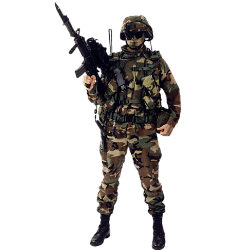 3996605_VS_RF_by_MerlinWebDesigner (250x250, 15Kb)