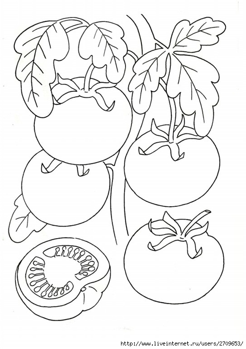0.page13 (494x700, 174Kb)