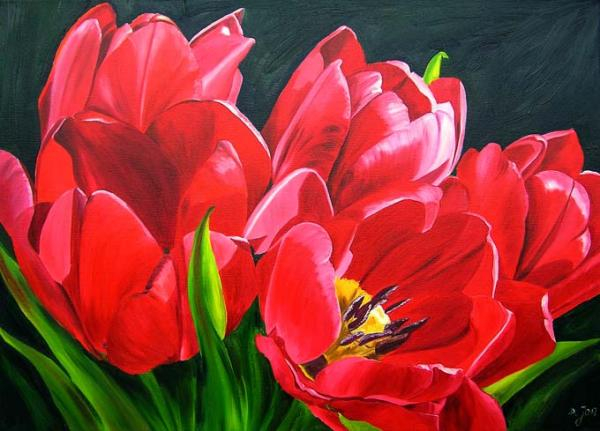 redtulips1600_431 (600x431, 246Kb)