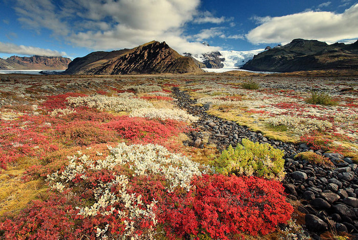 Iceland_Is_A_Miracle_Of_Nature_12 (700x469, 193Kb)