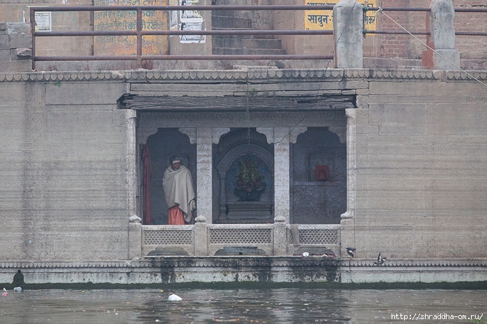 India Varanasi 2014 (80) (700x466, 290Kb)