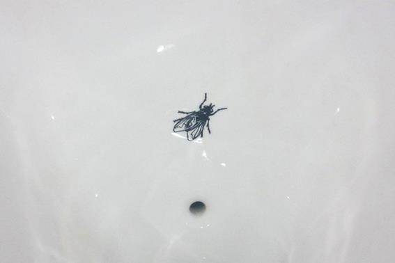 Фото: в каждом унитазе аэропорта Амстердама лежит копия мухи