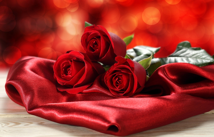 red rose 7 (700x450, 318Kb)