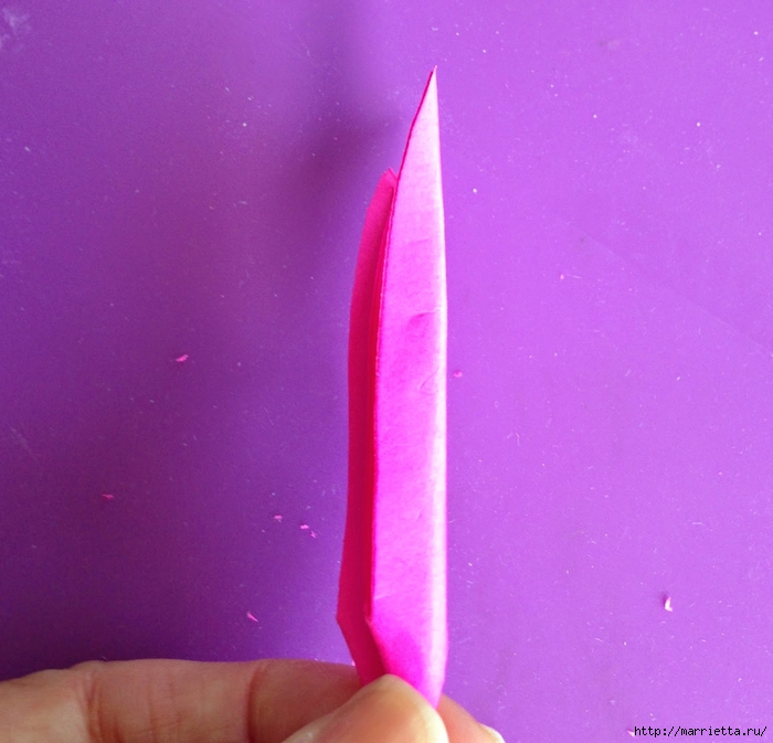 Цветы из мешковины - Эхинацея Пурпурная. Мастер-класс (12) (700x673, 268Kb)