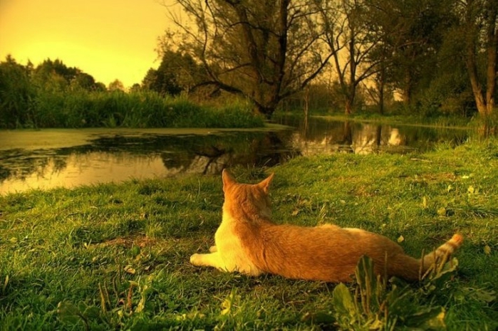 1 (700x465, 273Kb)