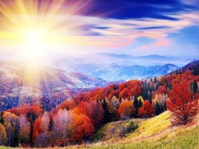 Nature___Seasons___Autumn_____Colorful_paints_of_autumn_081649_29 (640x480, 370Kb)