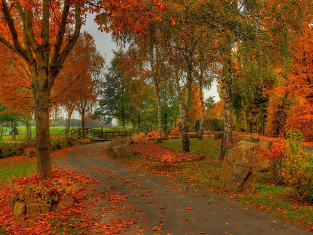 Nature___Seasons___Autumn_The_road_on_an_autumn_wood_083136_29 (640x480, 510Kb)