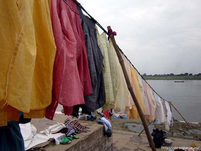 India Varanasi 2014 (94) (700x525, 279Kb)