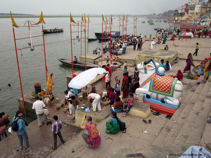 India Varanasi 2014 (102) (700x525, 360Kb)