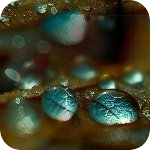 3815384_s1 (150x150, 60Kb)