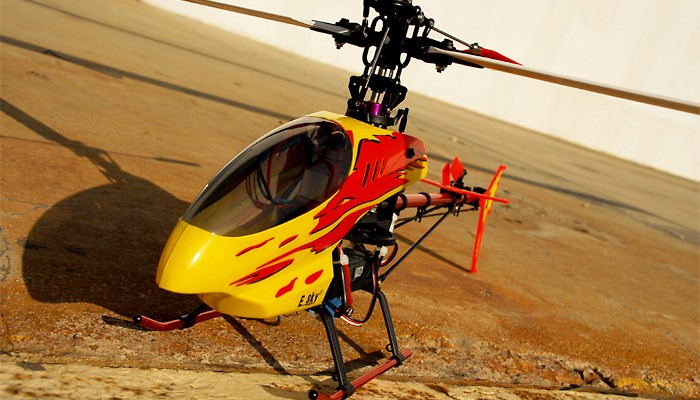 e-sky_honey_bee_king_3- (700x400, 303Kb)
