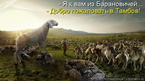 4cb681bc9e62214c2f06e40f5cbadb44_101157 (600x336, 184Kb)