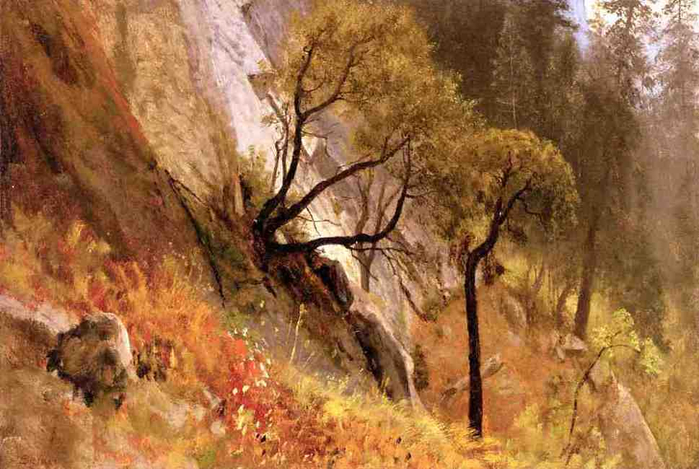 landscape_study_yosemite_california (700x469, 357Kb)