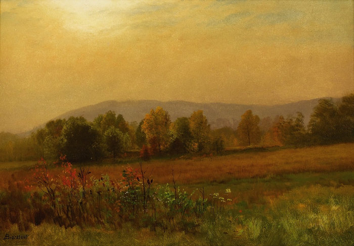 autumn-landscape (700x488, 361Kb)