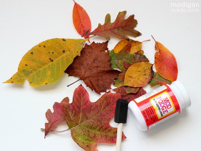 how-to-seal-fall-leaves-with-decoupage-00 (700x526, 256Kb)