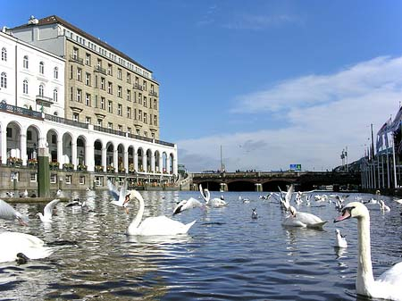 alster-arkaden_hamburg (450x337, 144Kb)