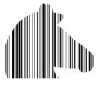 zebra (140x137, 3Kb)