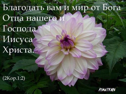 (67) (500x374, 35Kb)