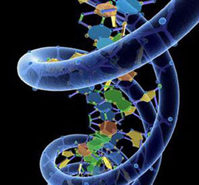 ДНК поддается влиянию сознания 117569739_128962