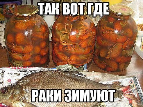 Каки ераки зимуют (492x369, 60Kb)