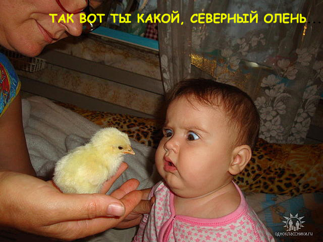 , , ,