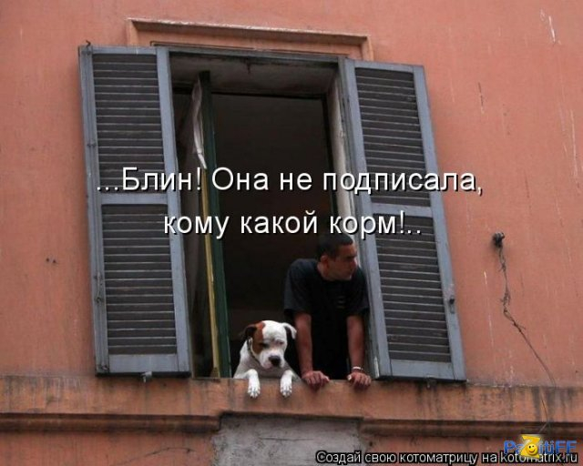 http://img1.liveinternet.ru/images/attach/c/11/117/66/117066109_1276550299_kotomatrix_34.jpg