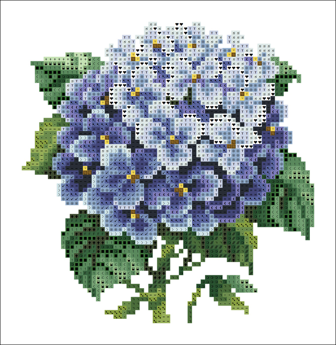 Dome50602_Hydrangea (682x700, 394Kb)